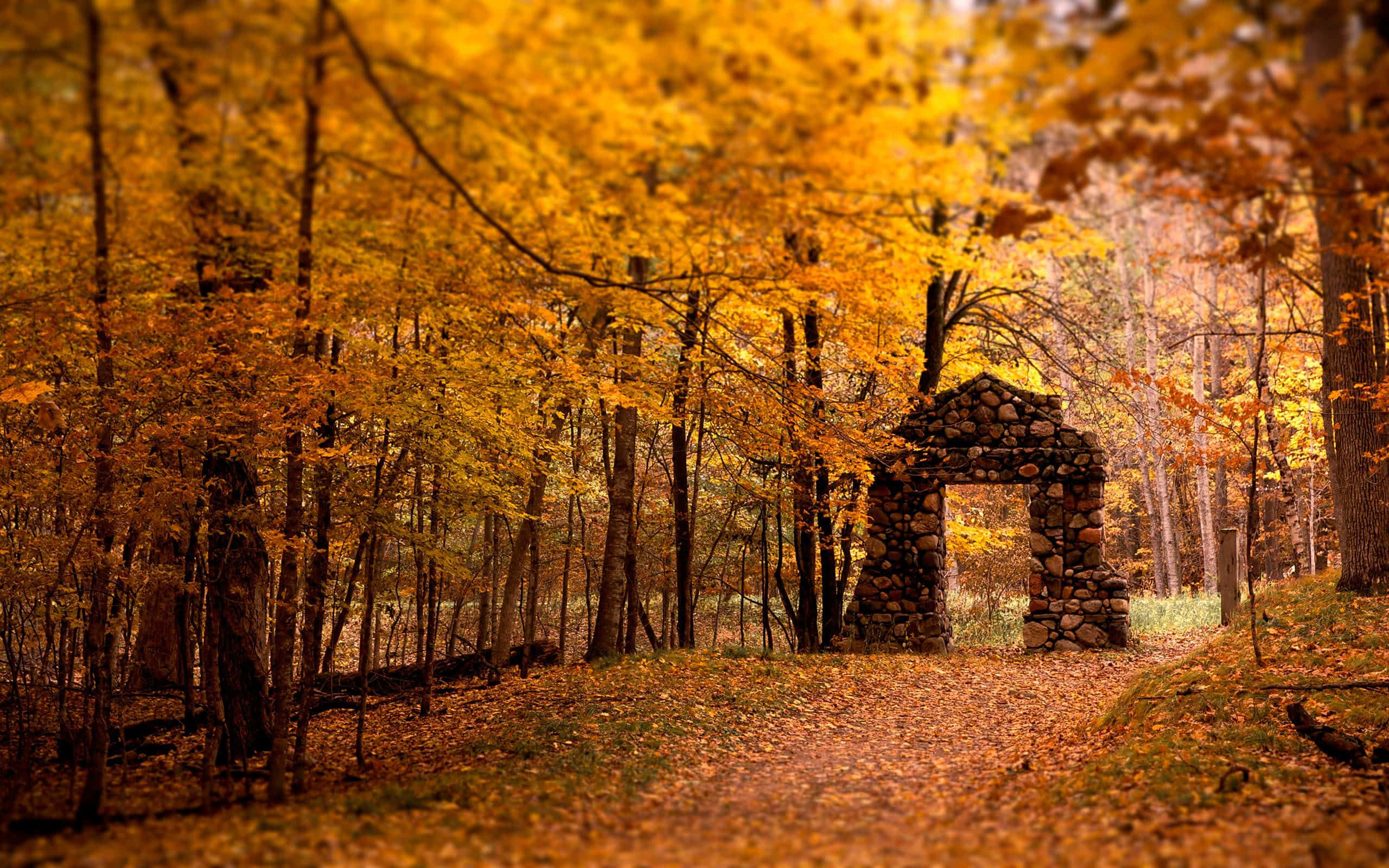 High Resolution Fall, alley foliage, stone archway, 2K Desktop Wallpaper