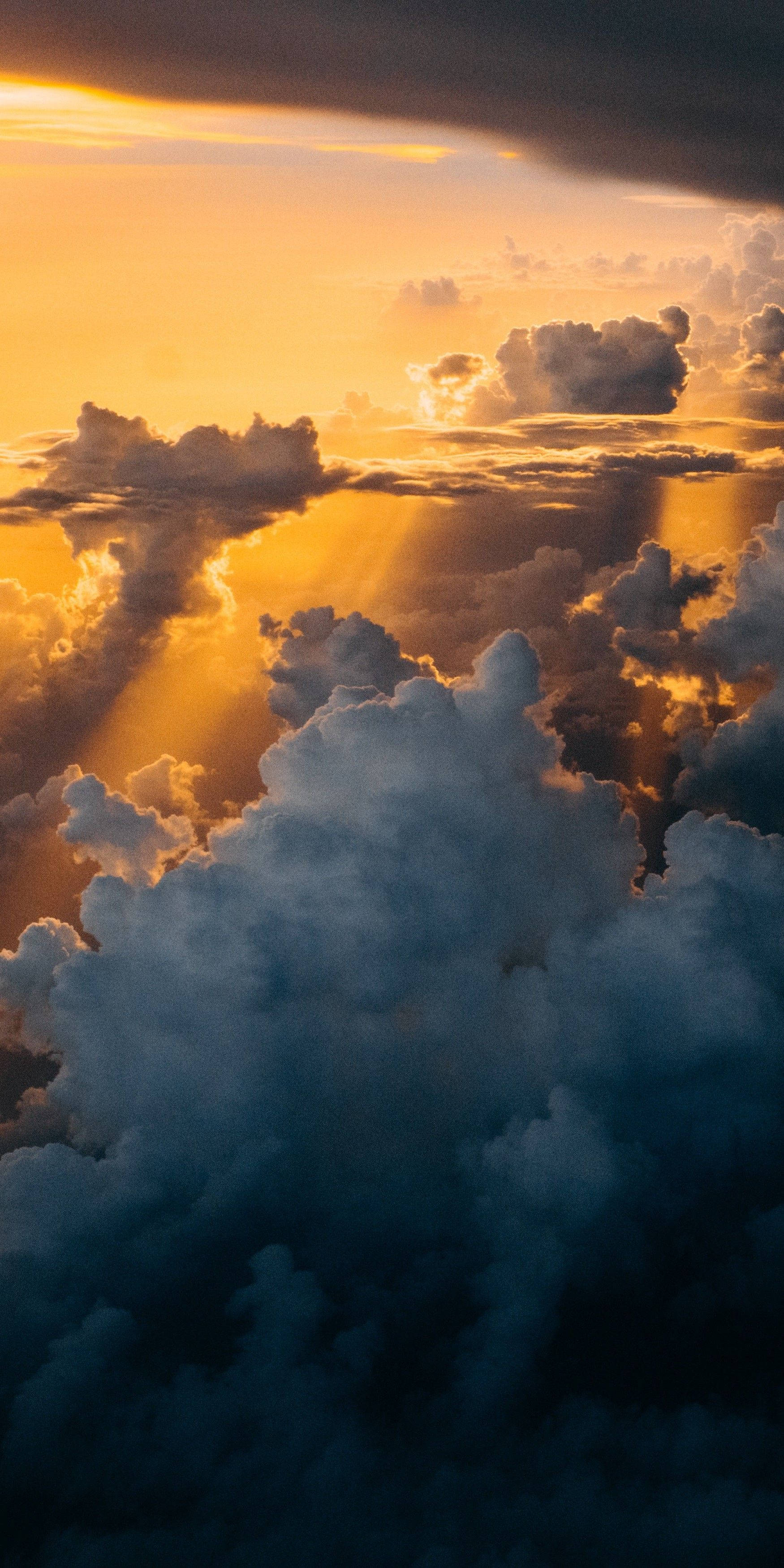 iPhone X, 4K HDR resolution, golden sunbeams, 2K Phone Wallpaper