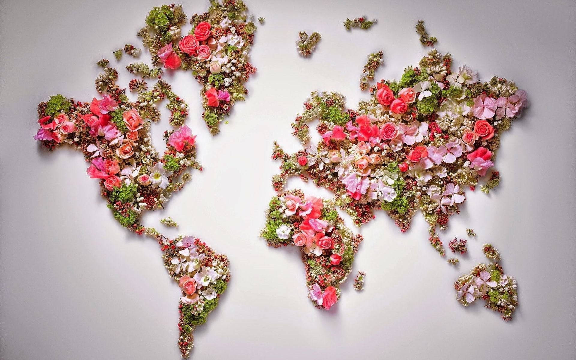 pink floral world map, pink roses, green foliage, Full HD Desktop Wallpaper