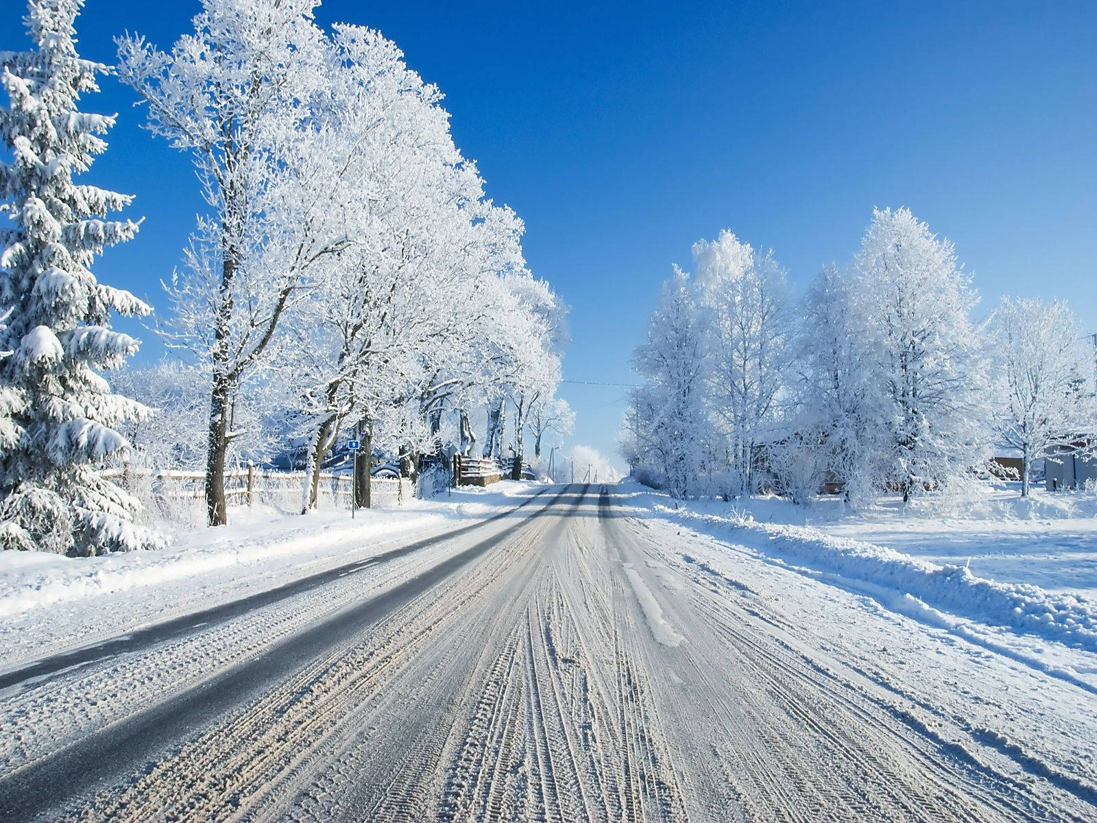 snow-covered road, frost-laden trees, clear blue winter sky, HD Desktop Wallpaper