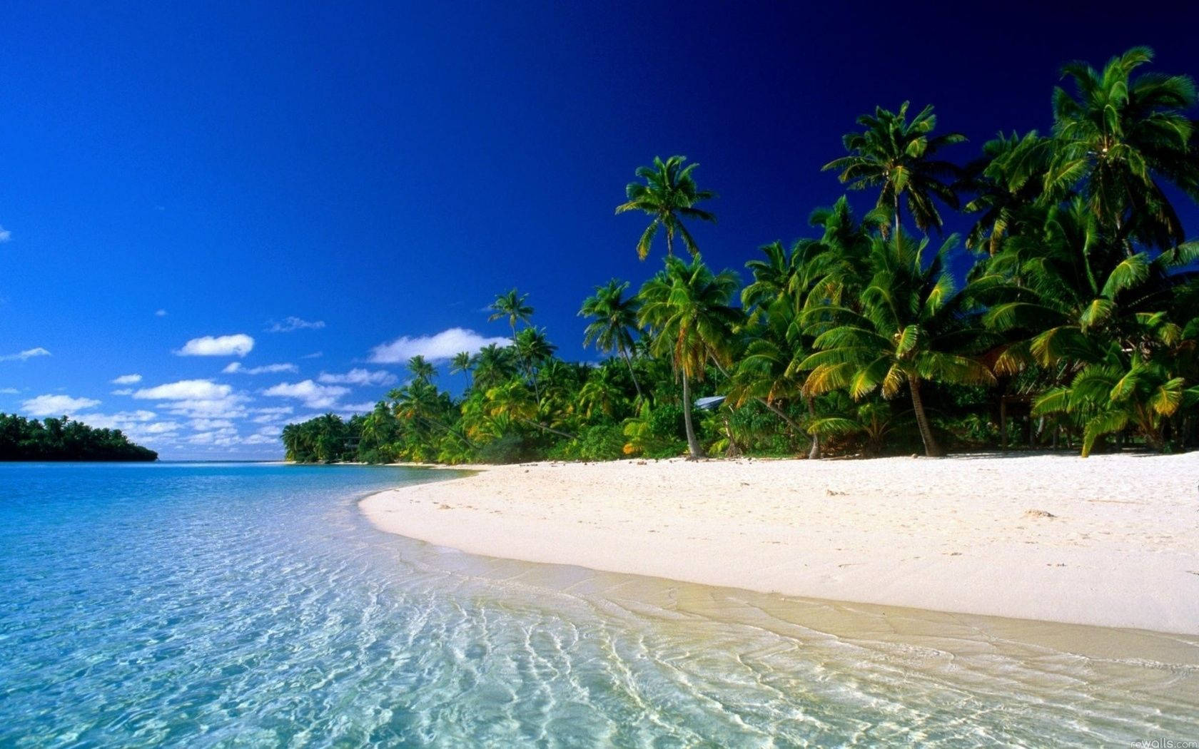 white sand beach, turquoise water, lush green palm trees, HD Desktop Wallpaper