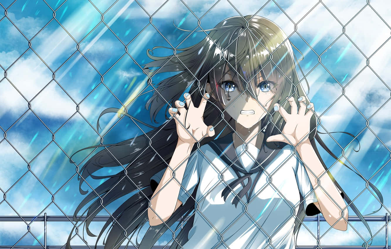 High School Fleet, chain-link fence, bright blue sky, HD Desktop Wallpaper