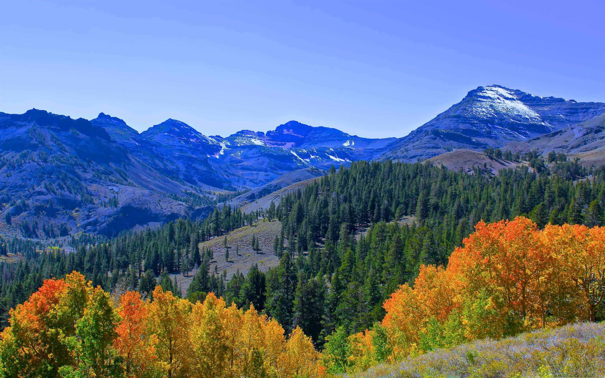 High Sierra Mountains, autumn trees, snow-capped mountains, 2K Desktop Wallpaper