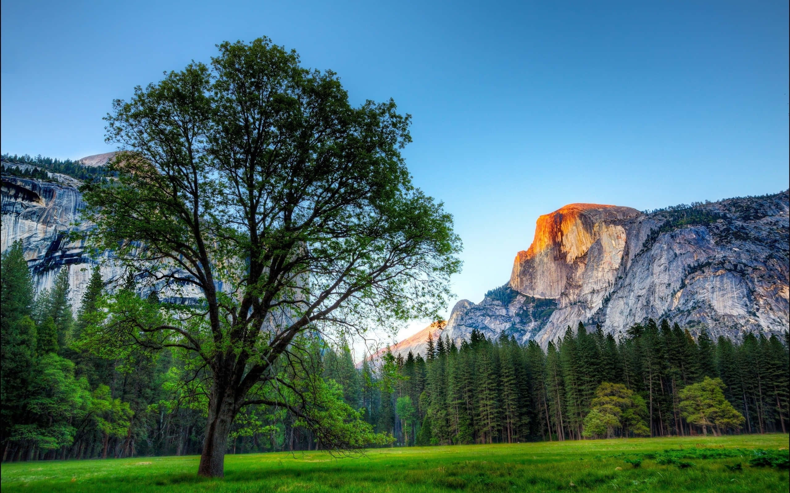 High Sierra, granite cliffs, golden sunrise, 2K Desktop Wallpaper