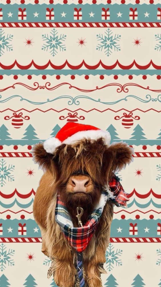 Highland cow, Santa hat, plaid scarf, SD Phone Wallpaper
