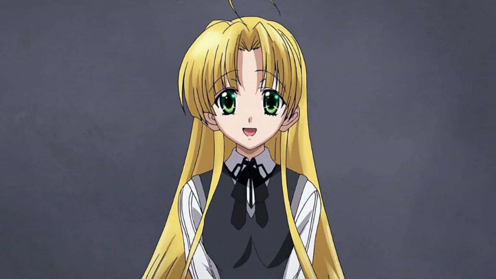 Highschool DxD, Asia Argento, anime character, HD Desktop Wallpaper