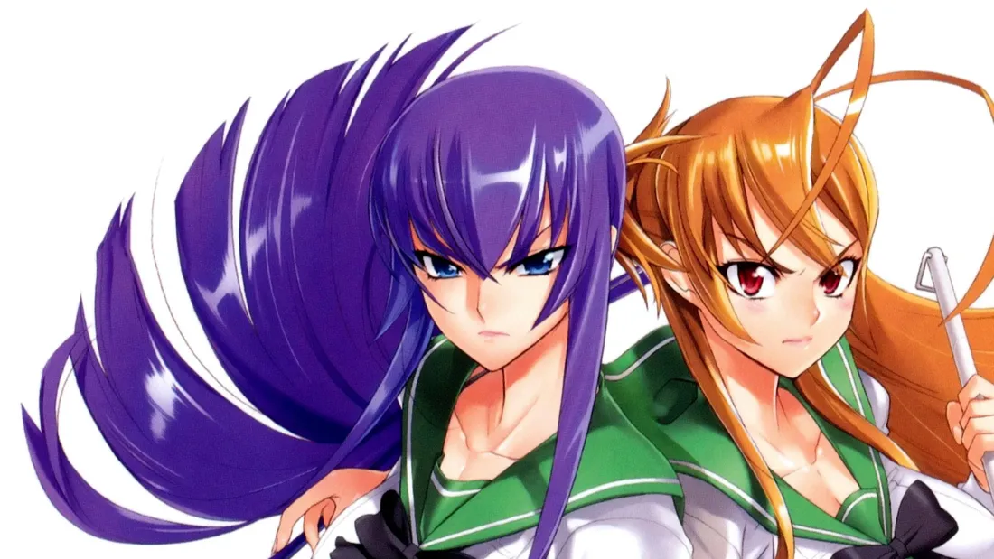 Highschool Of The Dead