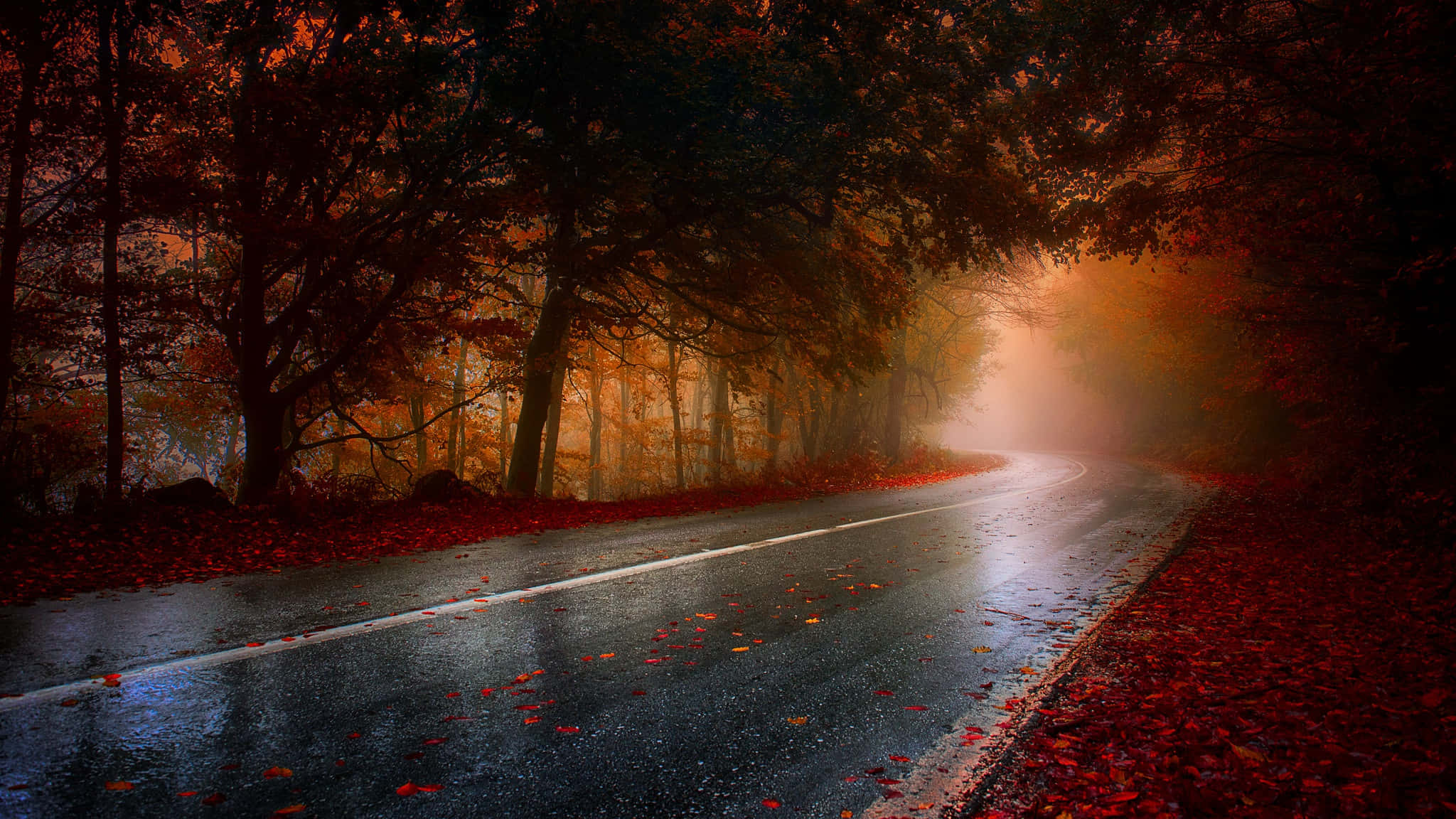 Highway, autumn road, misty forest, Full HD Desktop Wallpaper