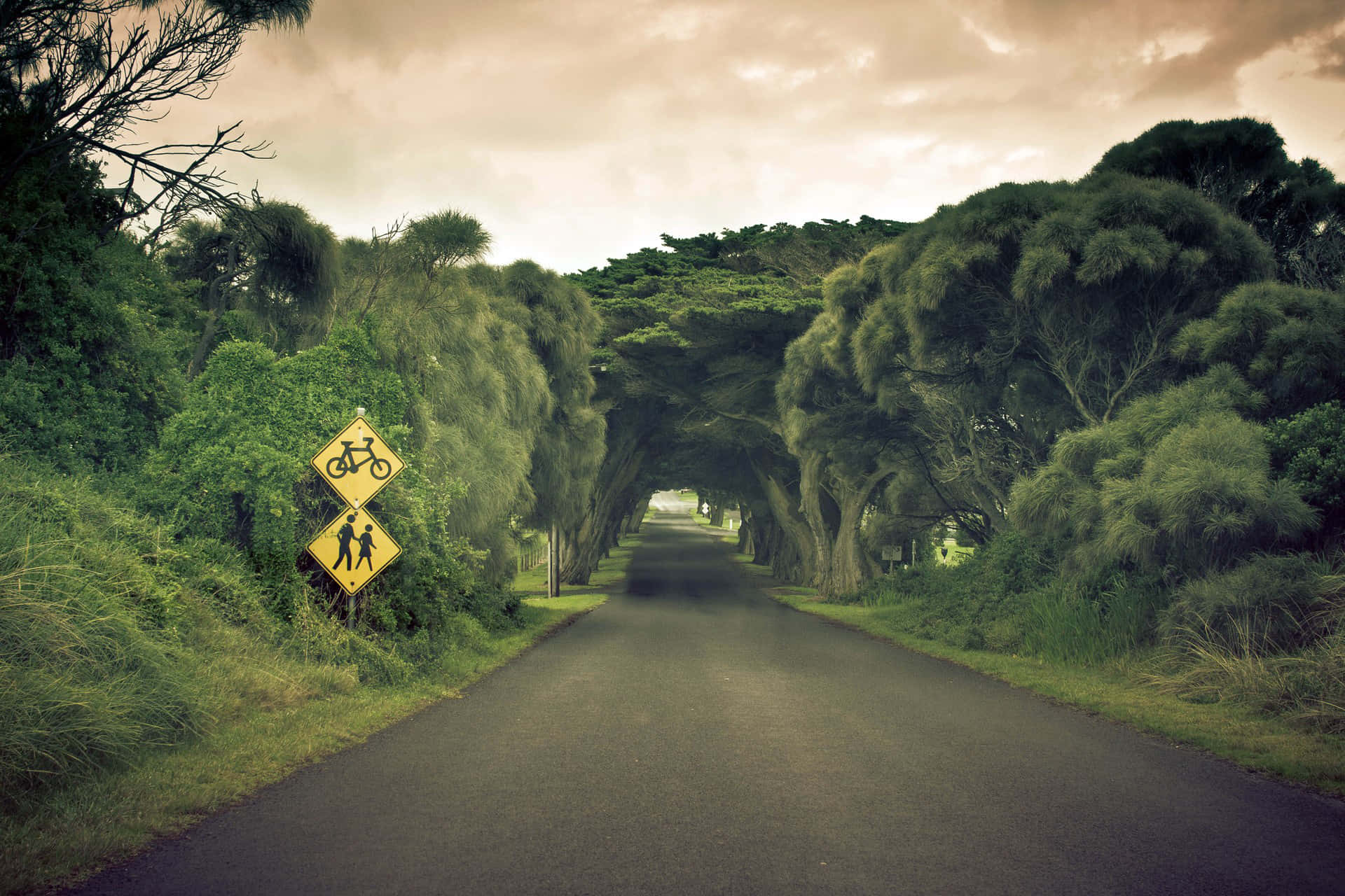 highway, yellow road signs, winding asphalt road, Full HD Desktop Wallpaper