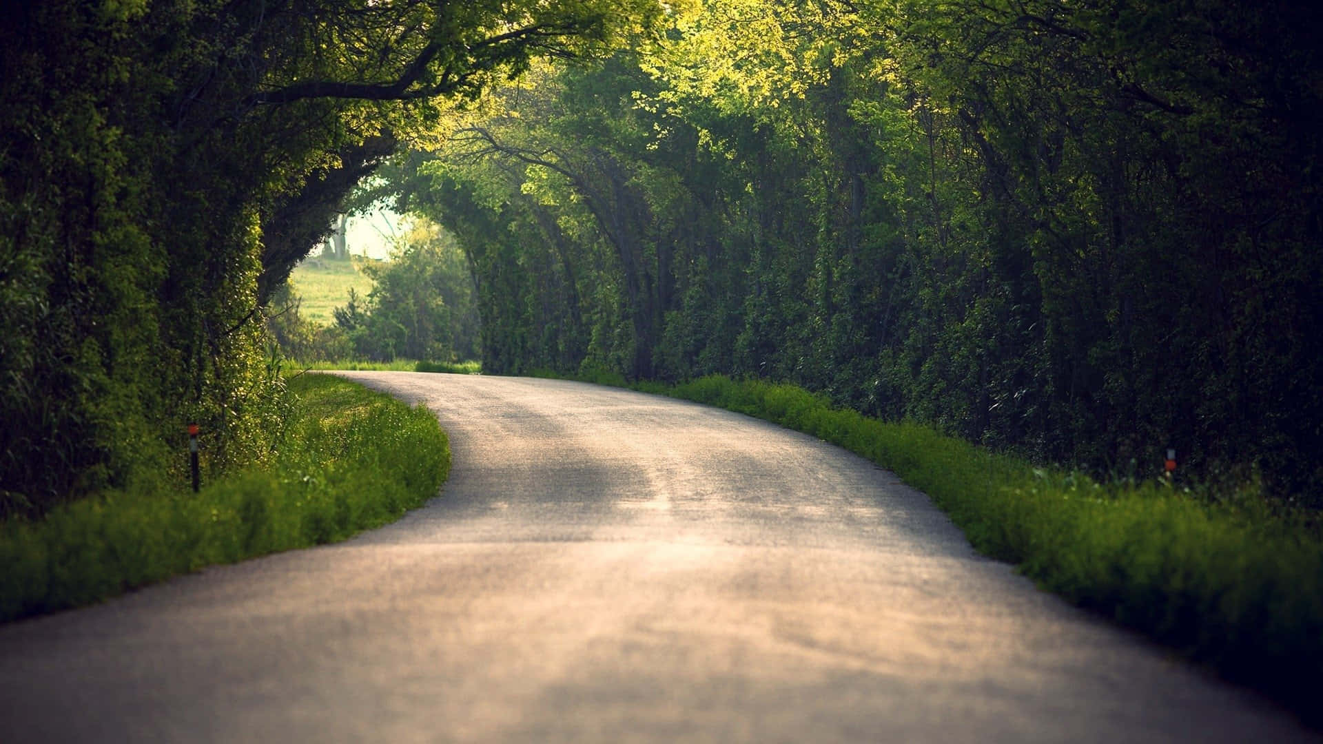 Highway, trees, winding road, Full HD Desktop Wallpaper