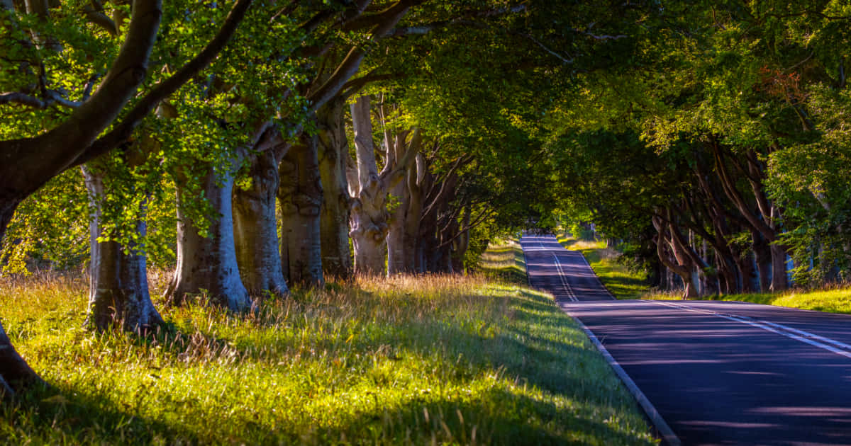 Highway, rural road, winding road, SD Desktop Wallpaper