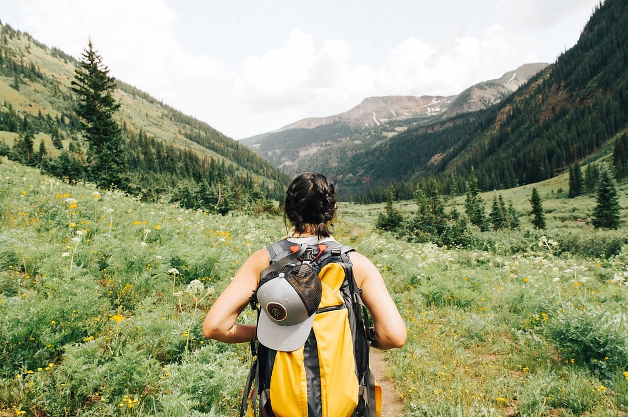 yellow backpack, trail, sunlit meadow, Full HD Desktop Wallpaper