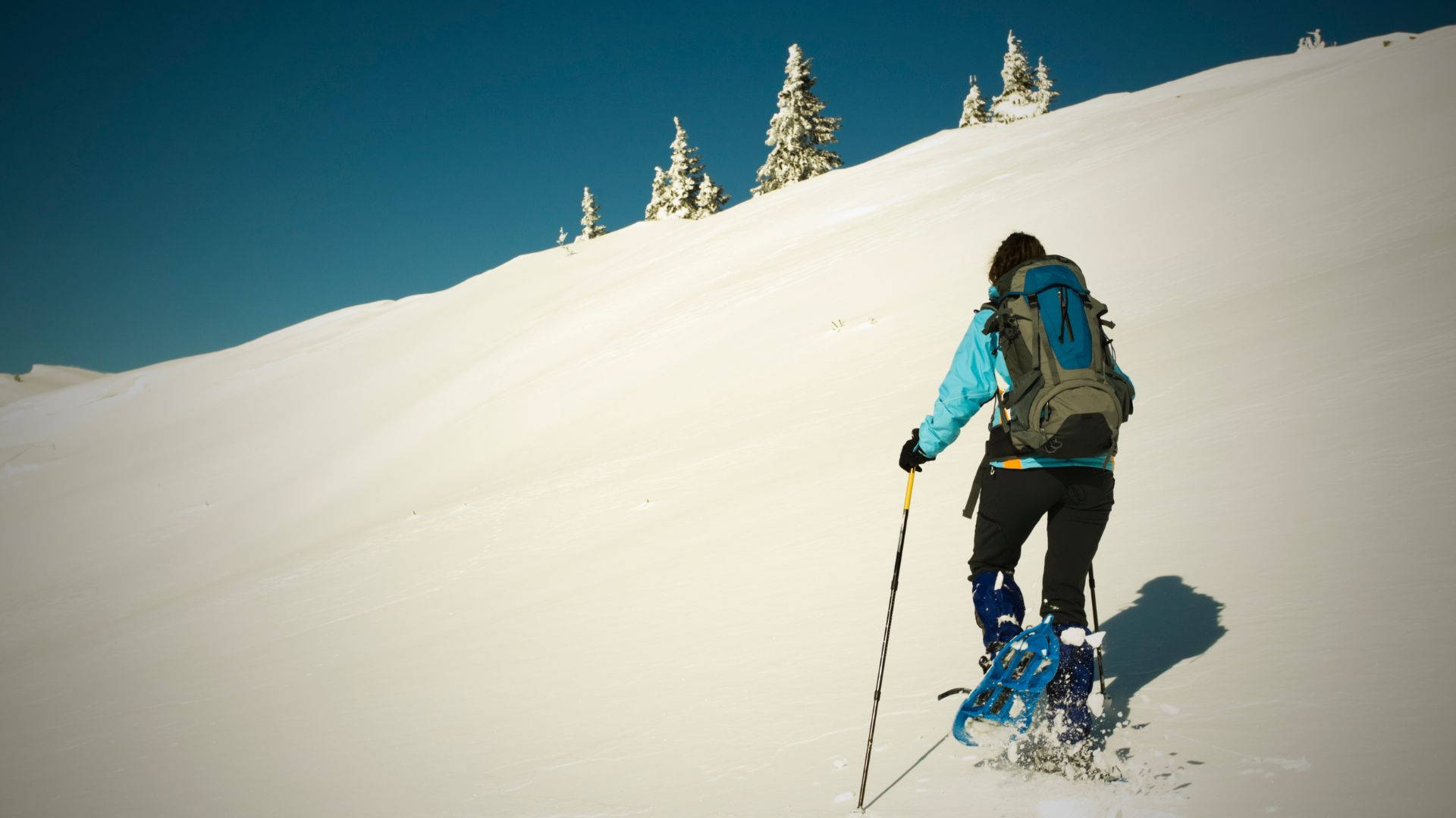 snowshoes, uphill climb, steep snowy slope, Full HD Desktop Wallpaper