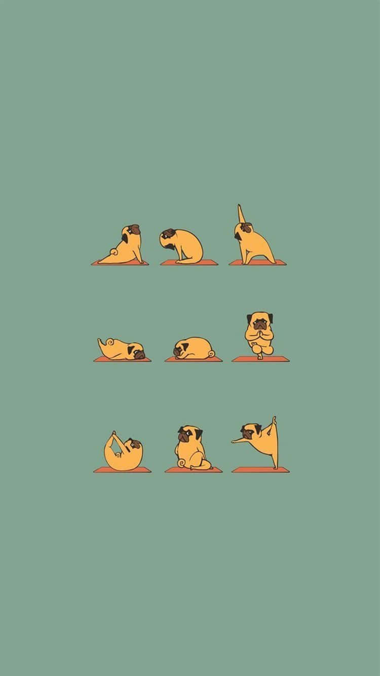 cartoon pugs, yoga poses, orange mats, HD Phone Wallpaper