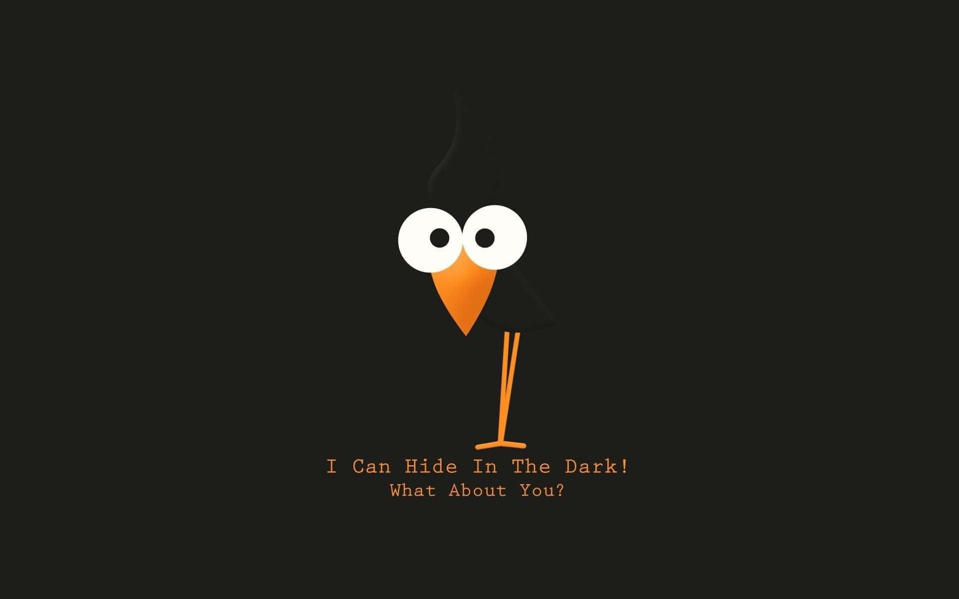 hilarious cartoon bird, minimalist cartoon bird, large white eyes, Full HD Desktop Wallpaper