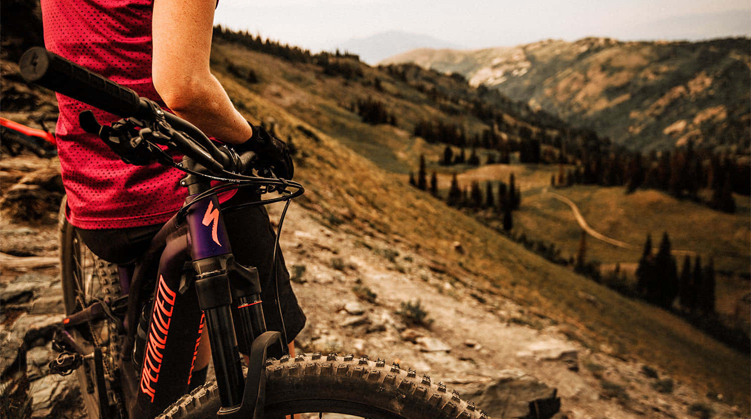 Specialized Mountain Bike, rugged mountain valley, winding trails, HD Desktop Wallpaper