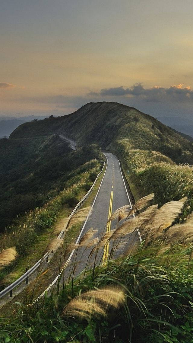 afternoon road hill view, winding mountain road, golden grasses, SD Phone Wallpaper