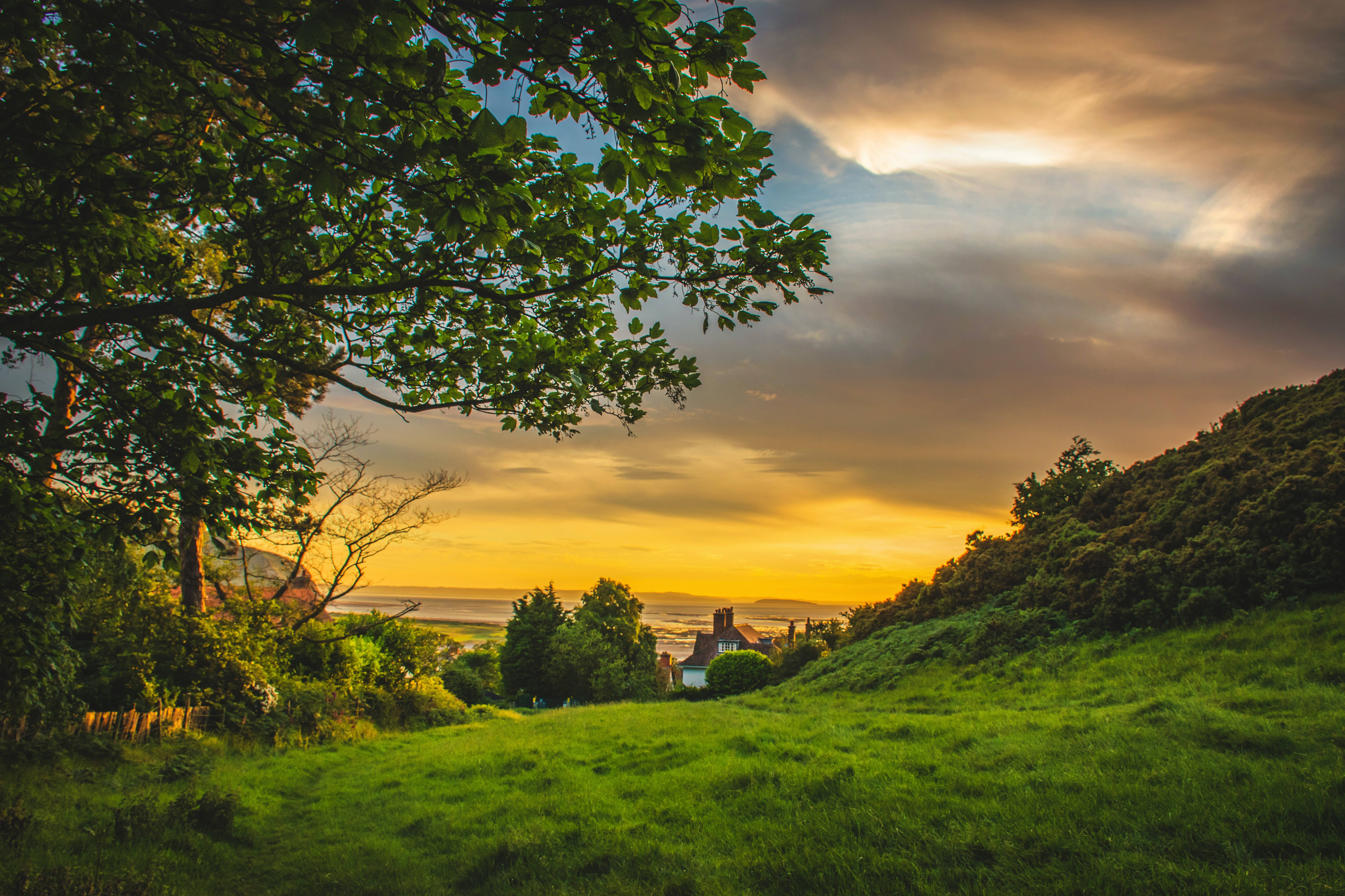 Hill View, countryside, golden sunset, 5K Desktop Wallpaper