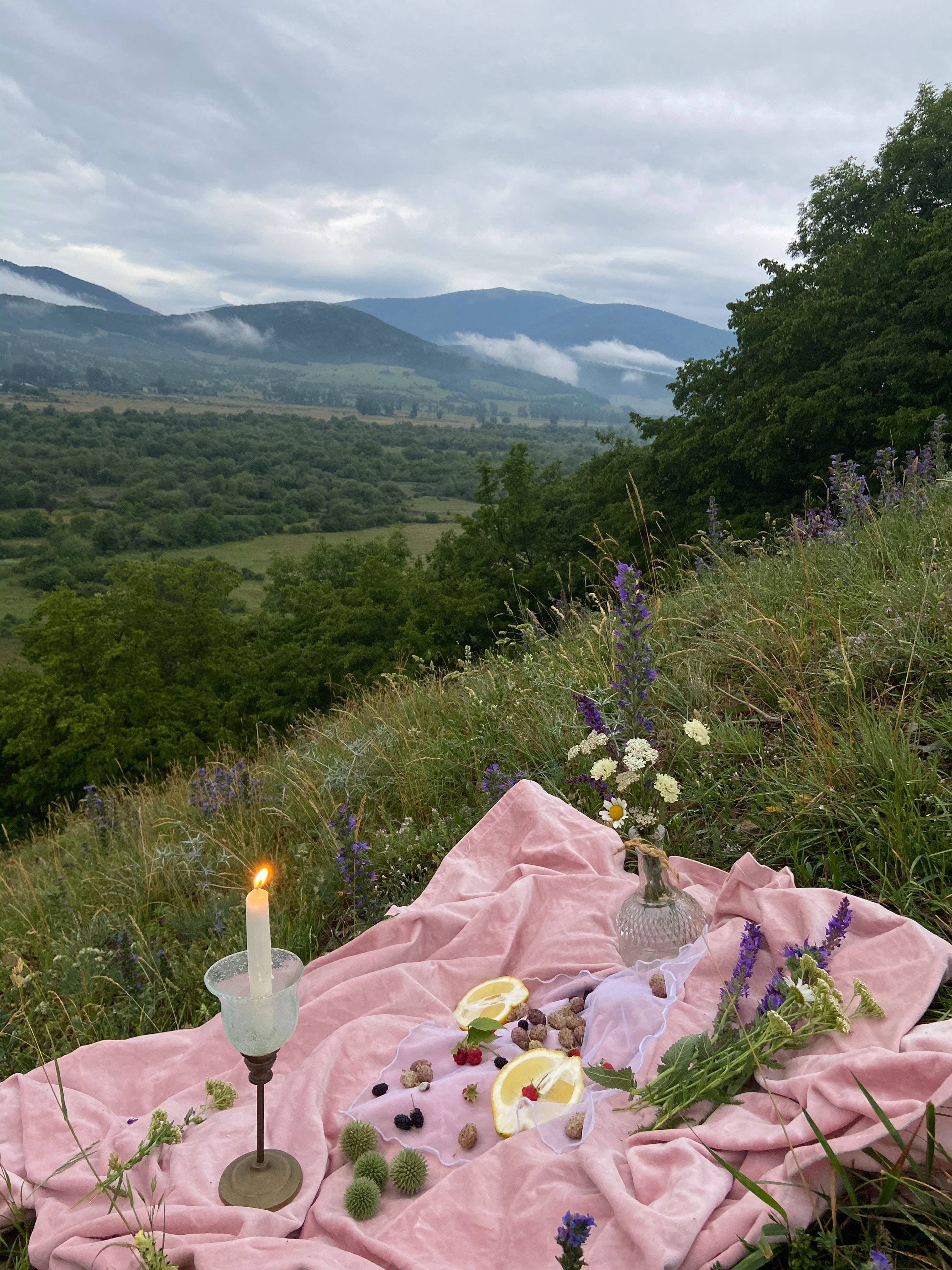 Picnic Date Hill View, pink blanket, lemon slices, 4K Phone Wallpaper