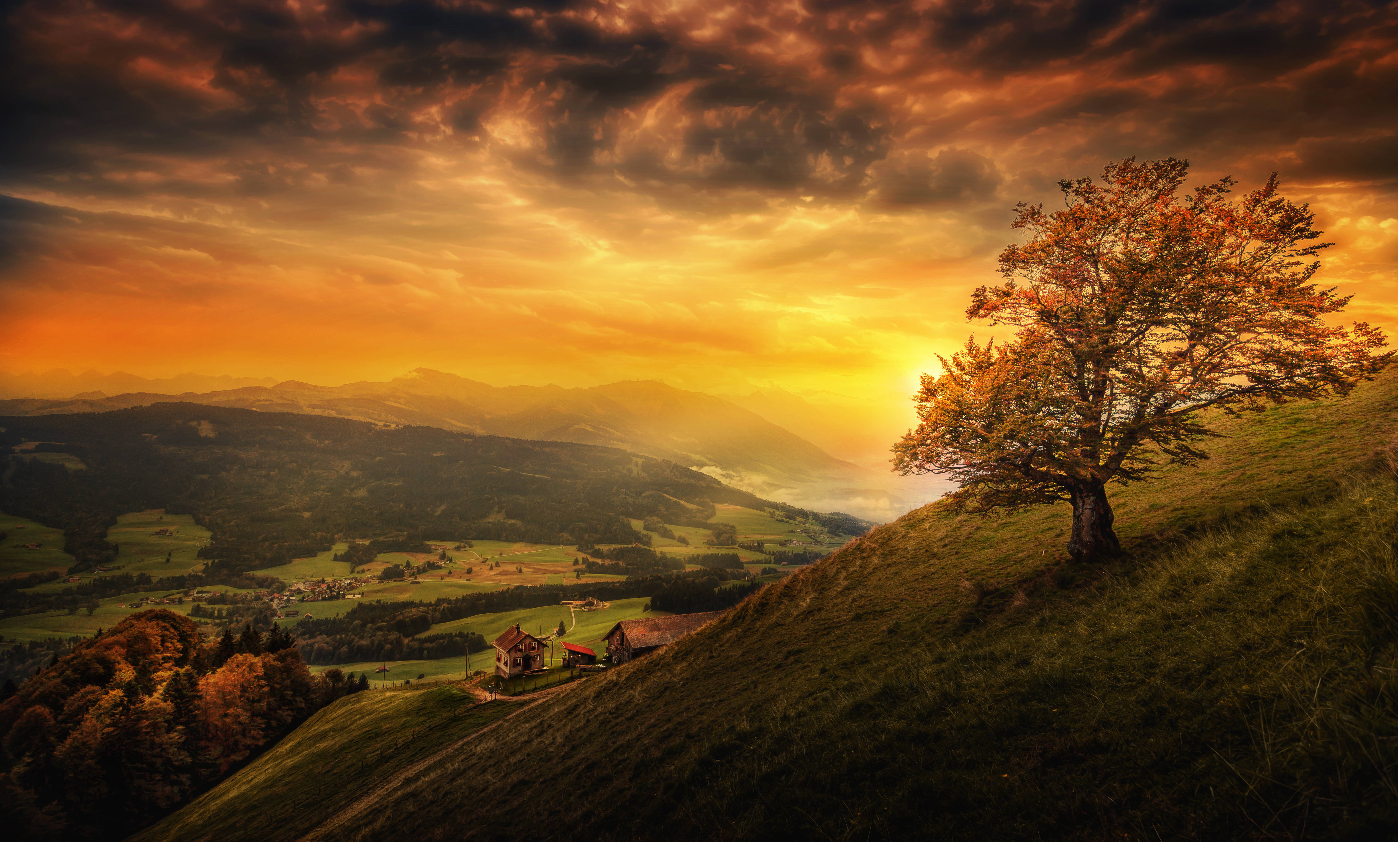 golden leaves, grassy hillside, valley, 5K Desktop Wallpaper