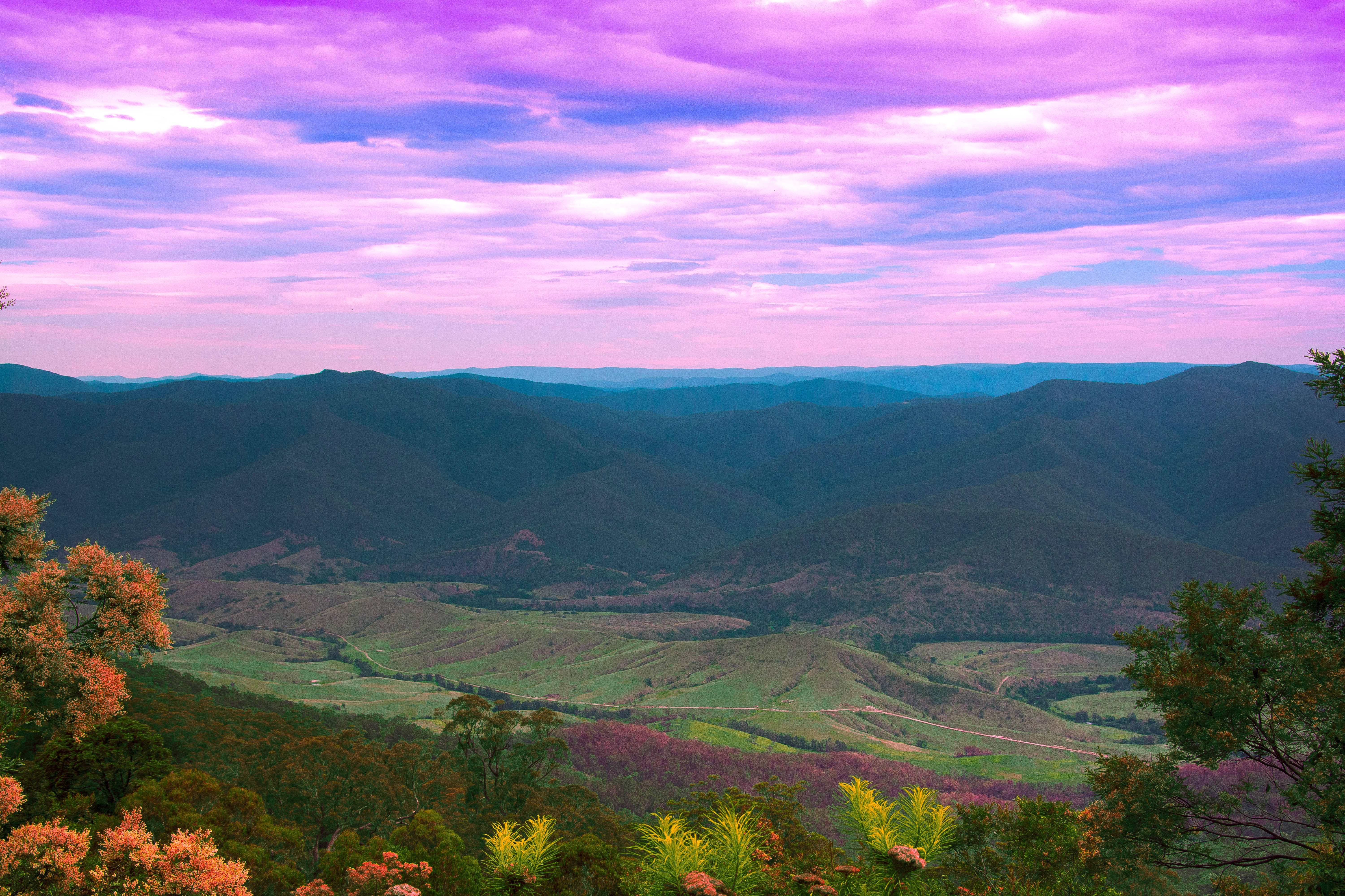 Hill View, purple sky, twilight sky, 5K Desktop Wallpaper