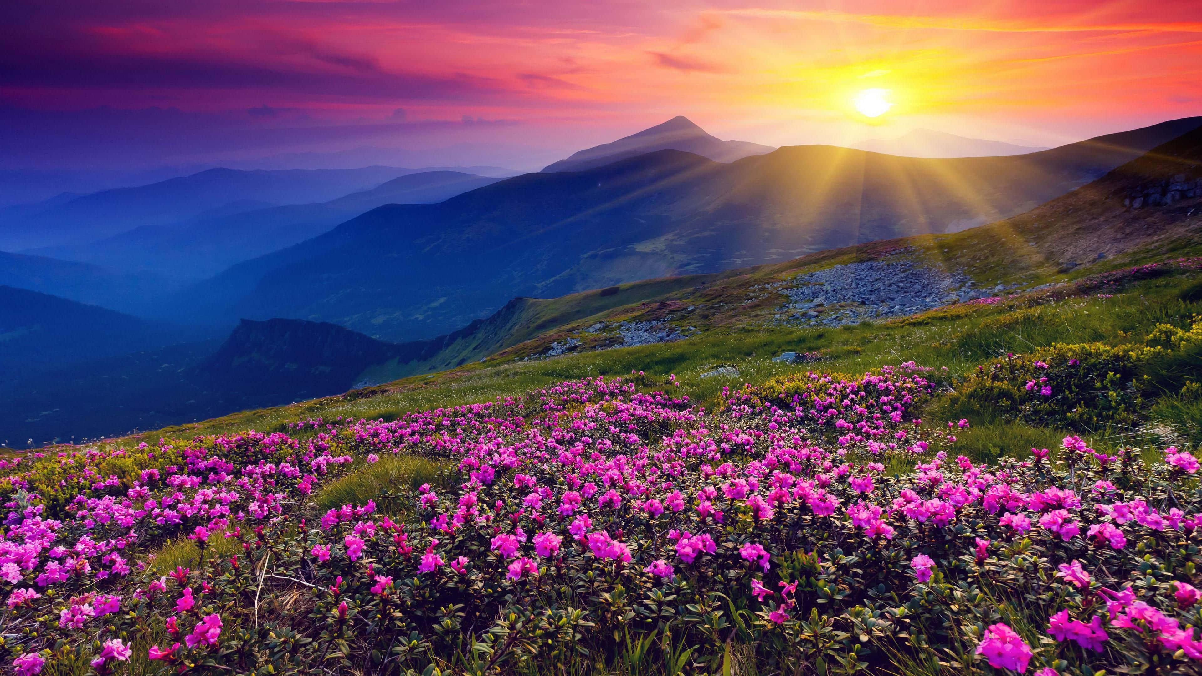 Sunset, purple clouds, rolling mountains, 4K Desktop Wallpaper