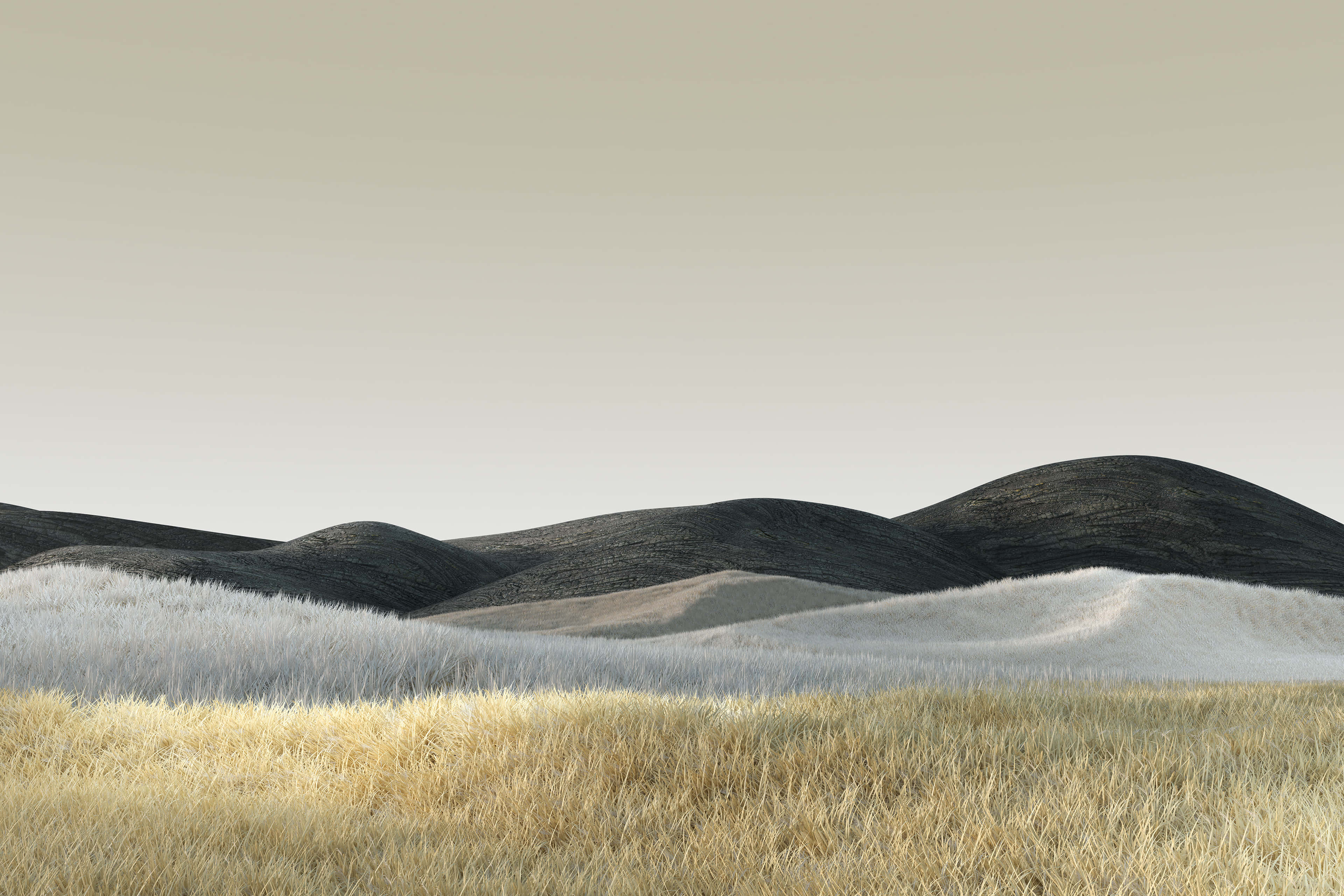 black rocky hills, golden grasses, dark earthy ridges, 4K Desktop Wallpaper