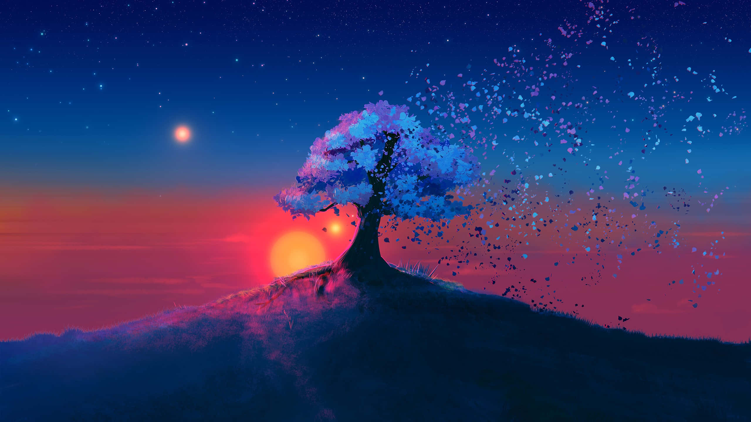 sakura tree, hill, twilight sky, 2K Desktop Wallpaper