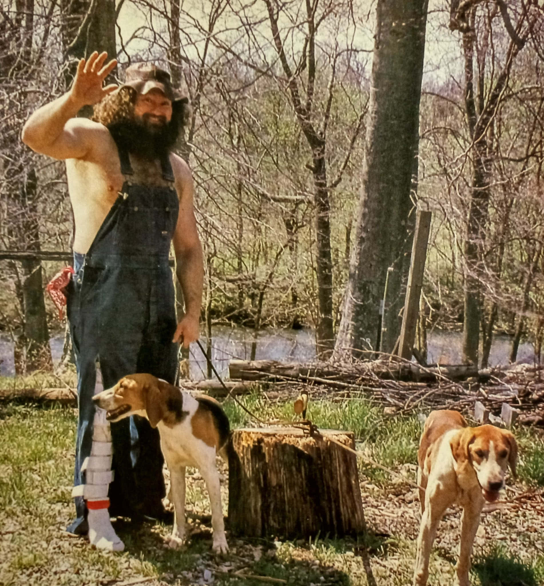 Hillbilly Jim, overalls, two hounds, Full HD Phone Wallpaper