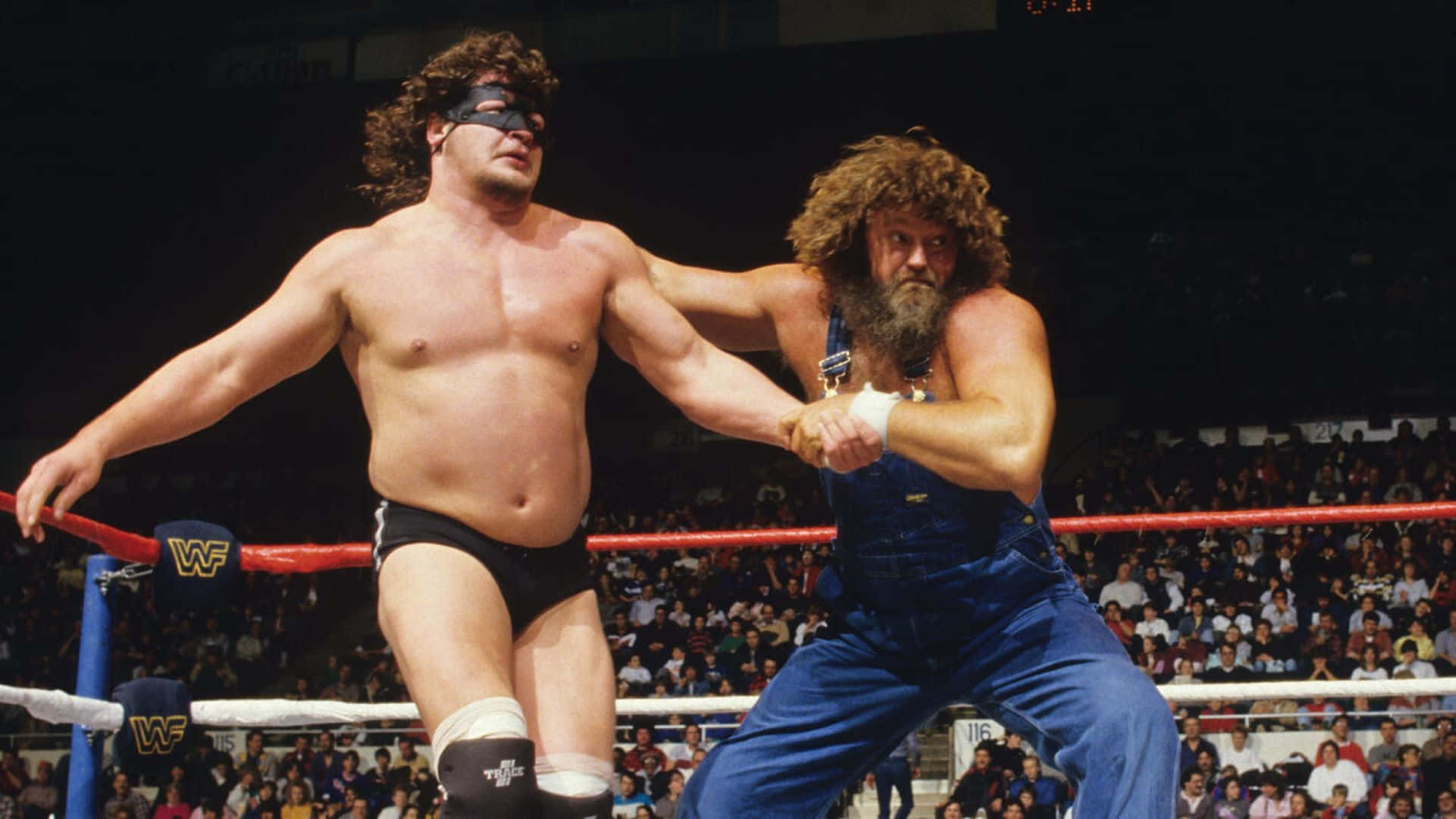 Hillbilly Jim, wrestling match, ring, Full HD Desktop Wallpaper