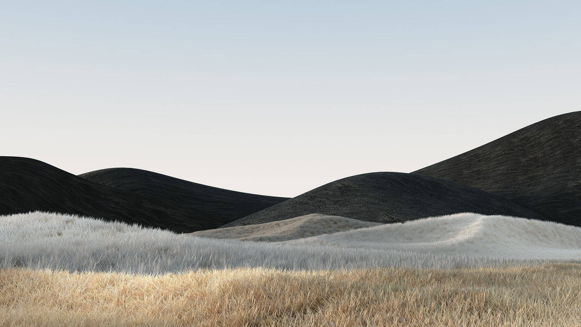 smooth black hillside, rolling black hills, dry golden grass, Full HD Desktop Wallpaper