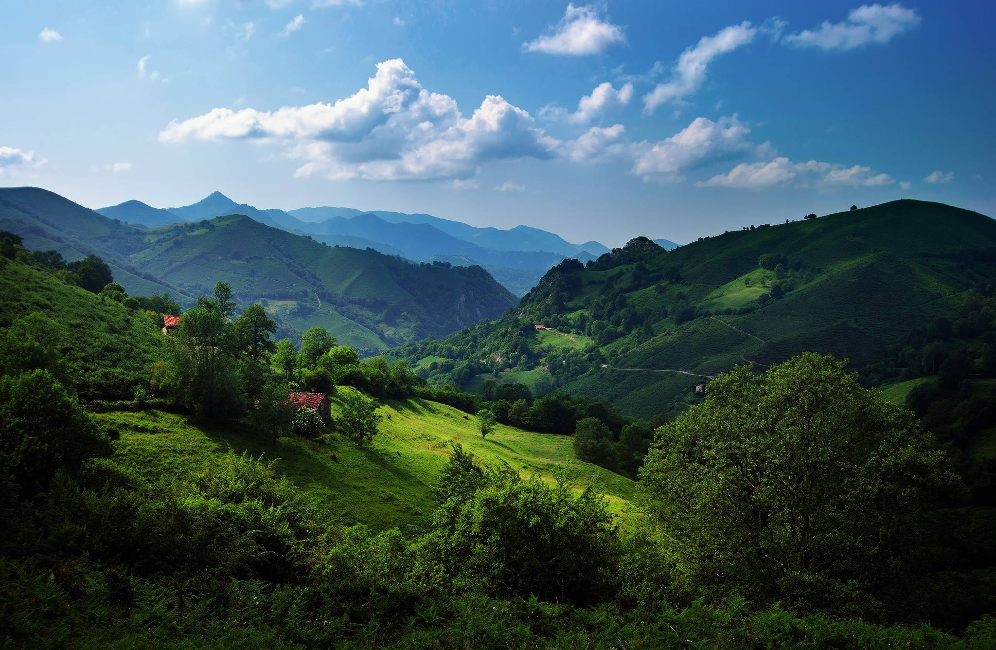 dark green forest, hillside, rolling green hills, Full HD Desktop Wallpaper