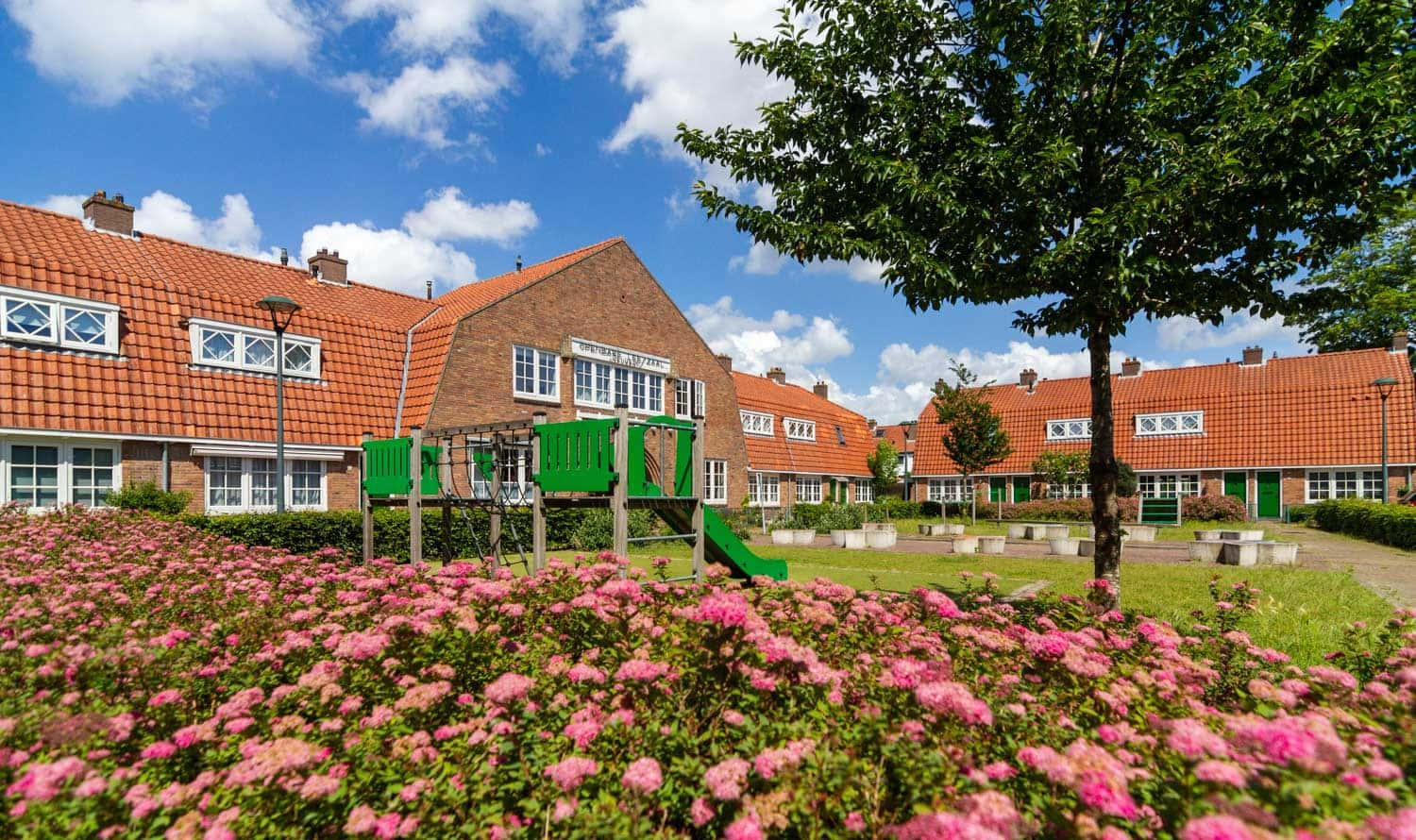 Hilversum, playground, pink flowers, HD Desktop Wallpaper