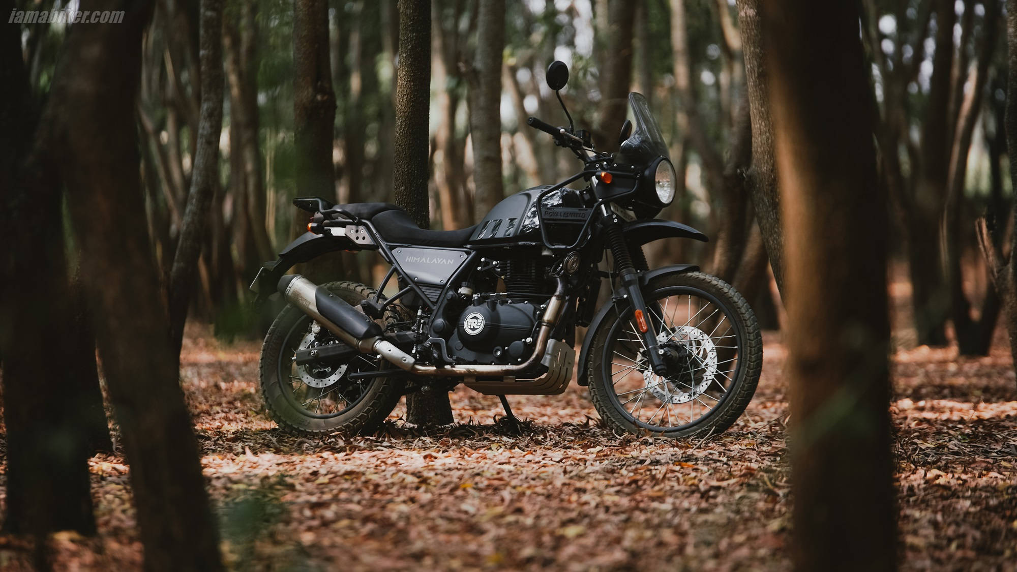 Himalayan Bike, black, forest, Full HD Desktop Wallpaper