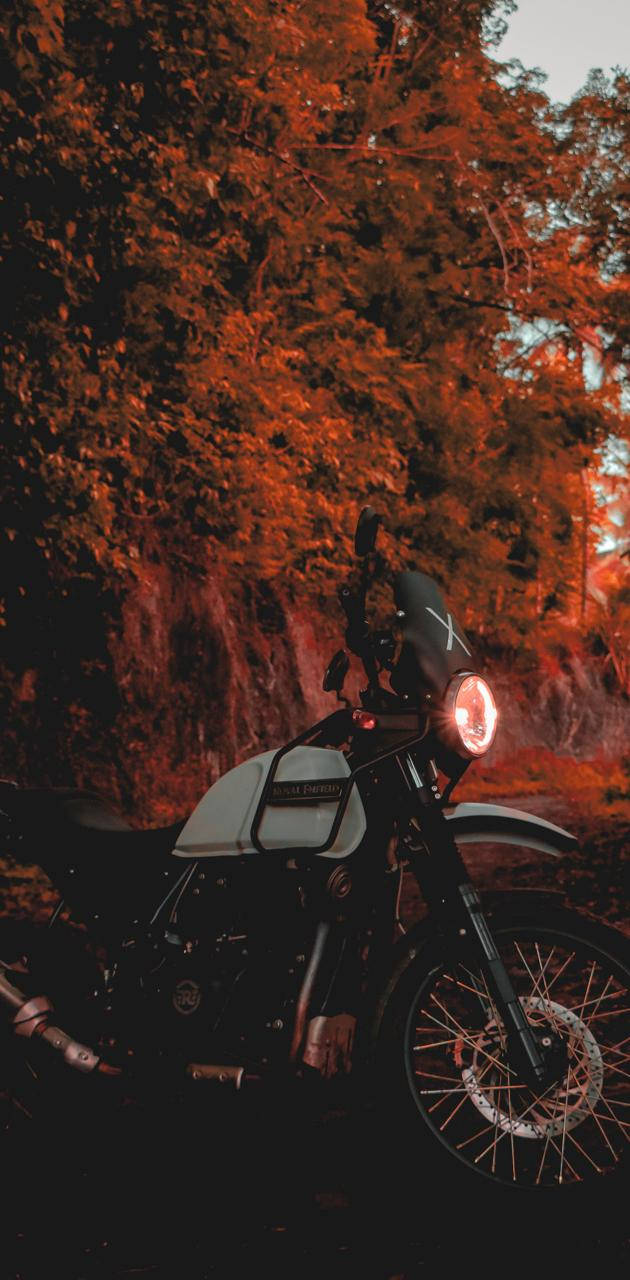 White Himalayan Bike, white motorcycle, glowing headlight, HD Phone Wallpaper