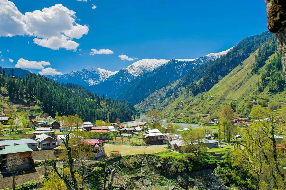 Himalayan