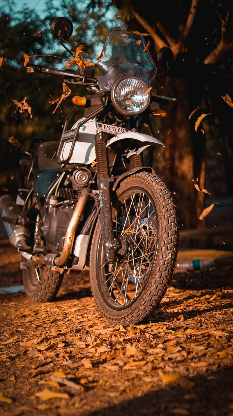 Himalayan, rugged adventure motorcycle, leaf-strewn forest path, HD Phone Wallpaper