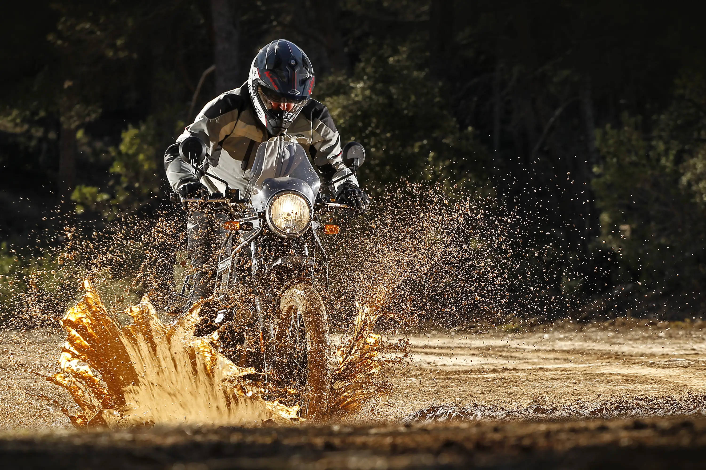 Himalayan, mud, forest trail, 2K Desktop Wallpaper