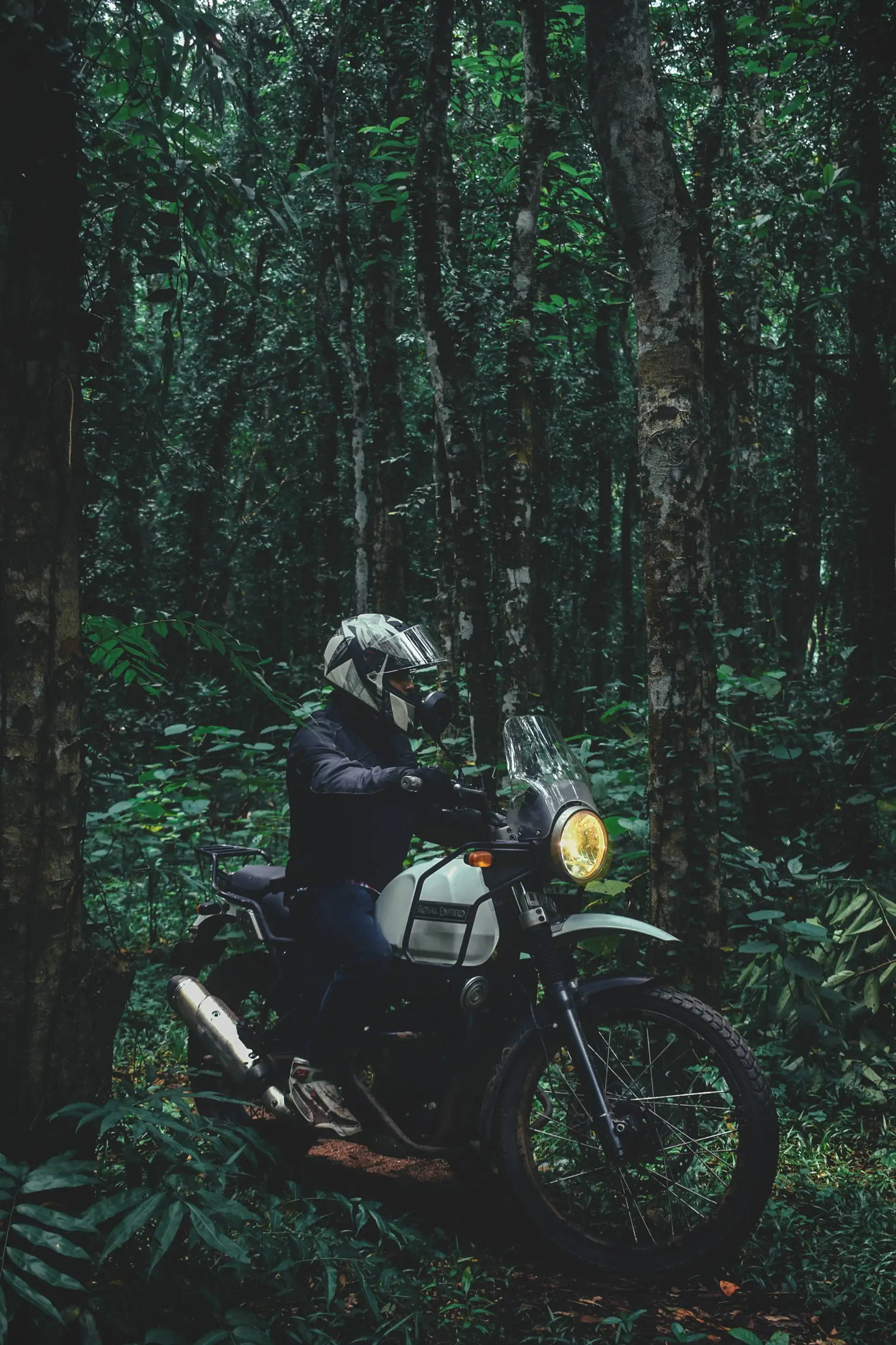 Himalayan, bike, forest, 2K Phone Wallpaper