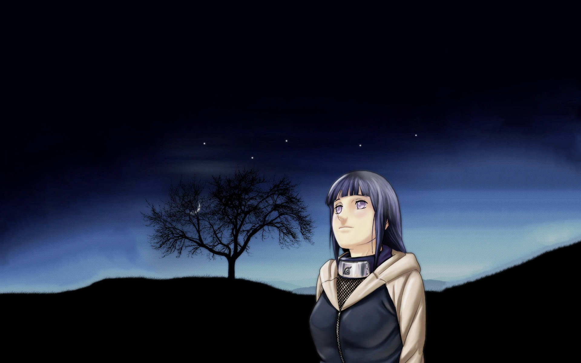 Hinata Hyuga, starry night sky, purple hair, Full HD Desktop Wallpaper