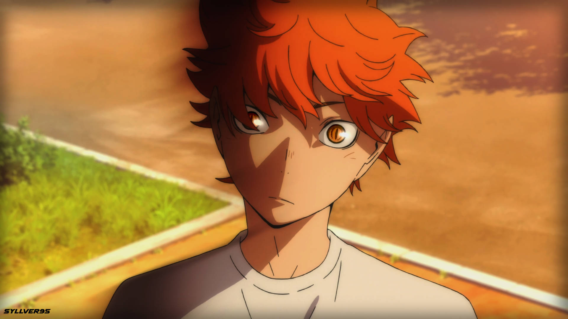 Hinata Shouyou, fiery orange hair, intense amber eyes, Full HD Desktop Wallpaper
