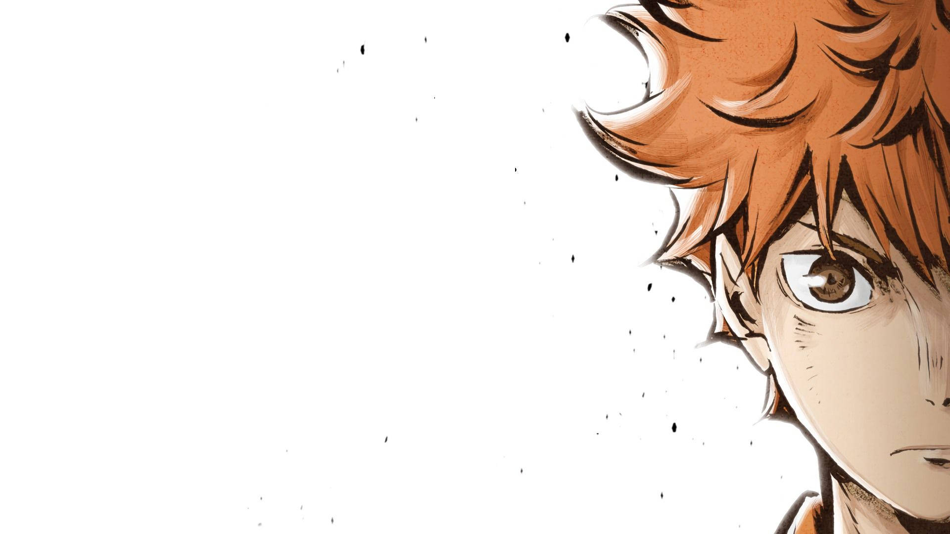 Hinata Shouyou, spiky orange hair, intense gaze, Full HD Desktop Wallpaper