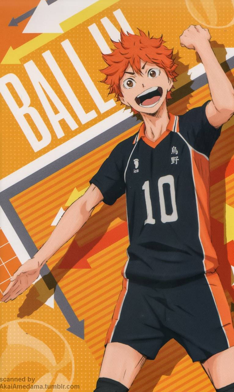 Hinata Shouyou, spiky orange hair, number 10 jersey, HD Phone Wallpaper