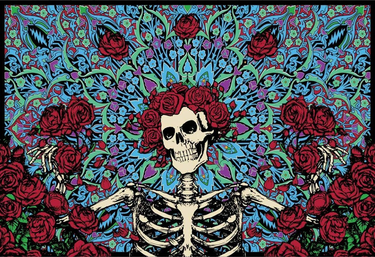 skeleton, red roses, floral pattern, HD Desktop Wallpaper