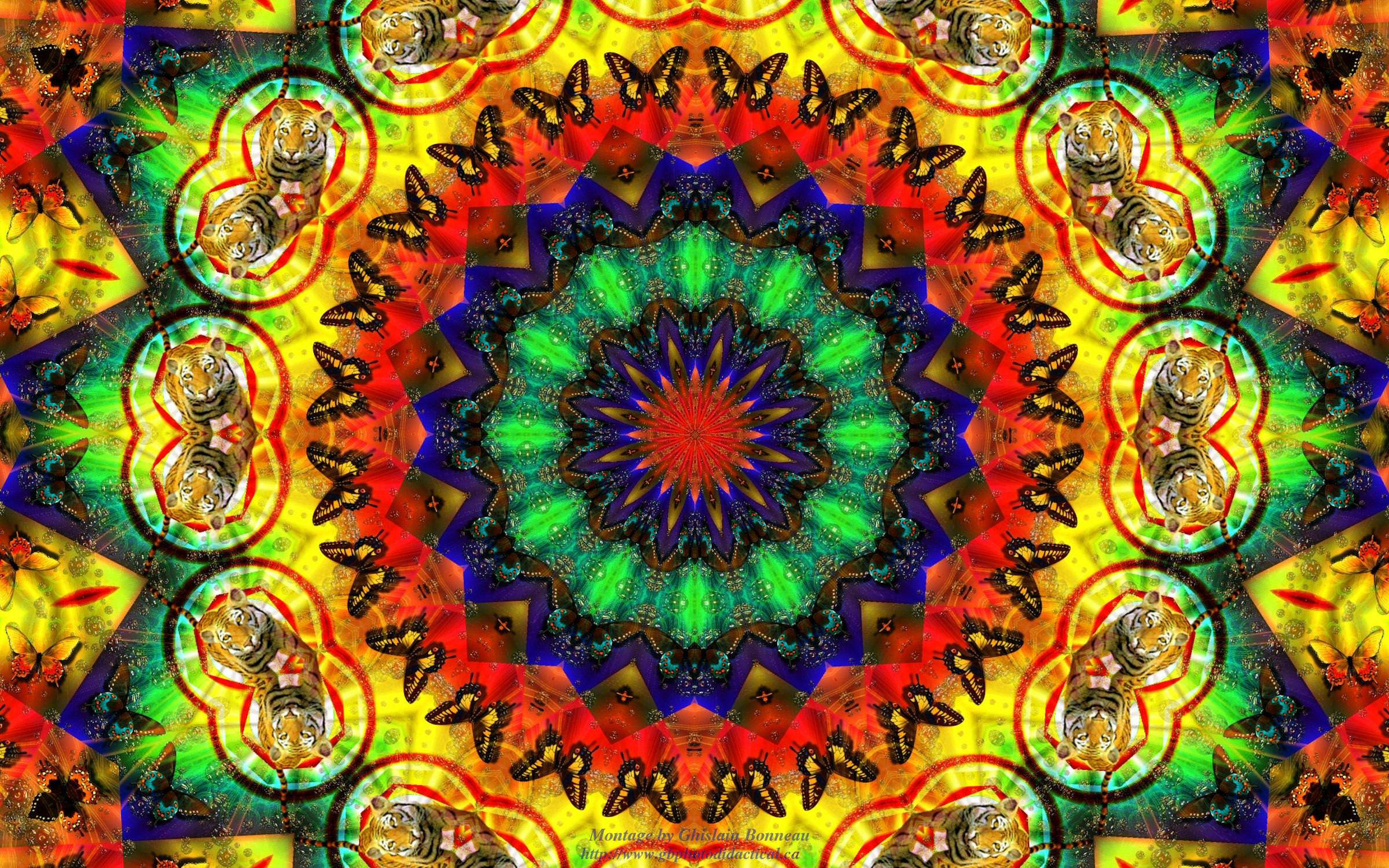 Hippie Aesthetic Laptop, kaleidoscopic mandala, tiger heads, Full HD Desktop Wallpaper