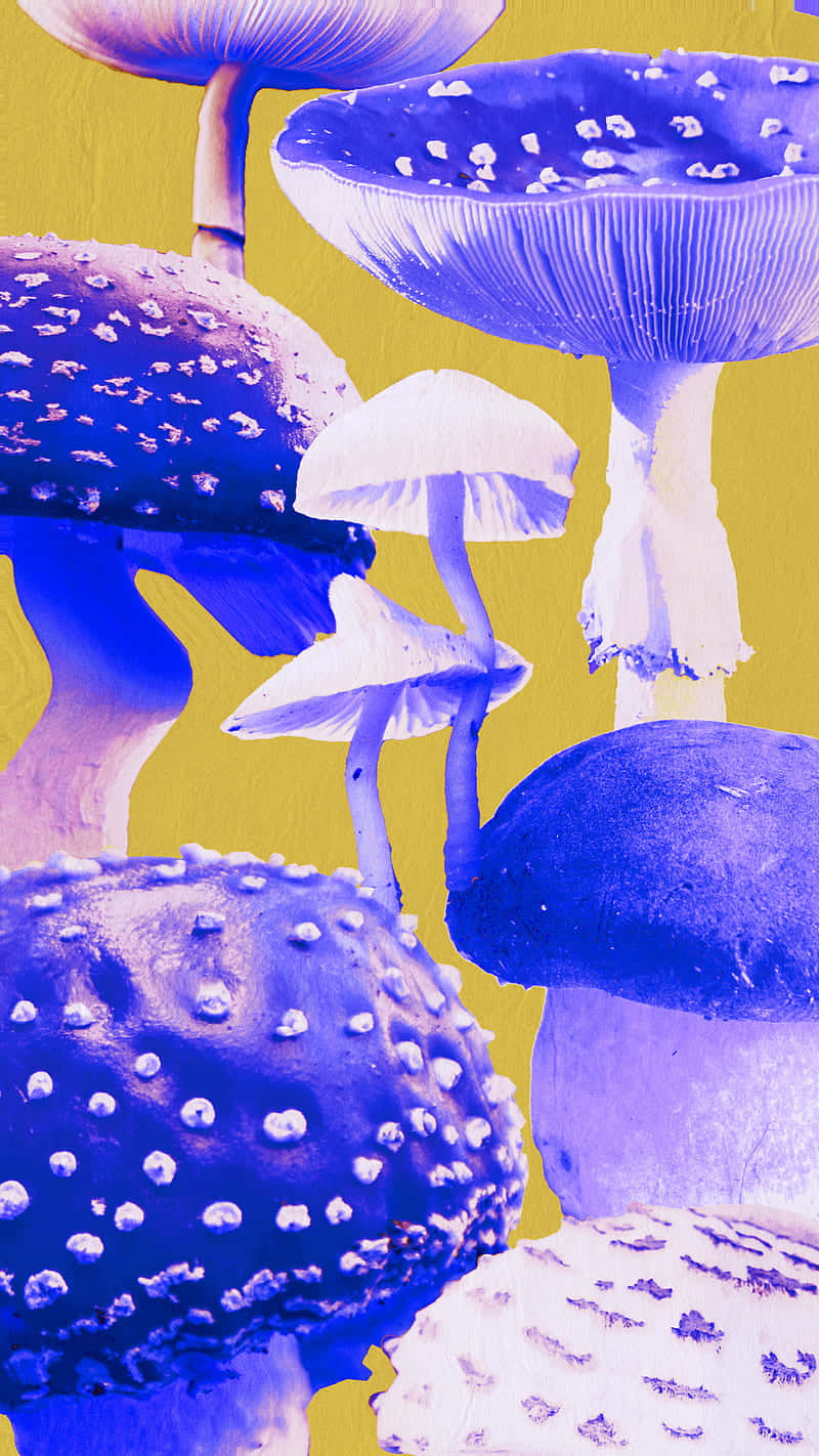 vintage cute mushroom hippie scrapbook art, purple and white mushrooms, textured caps, HD Phone Wallpaper
