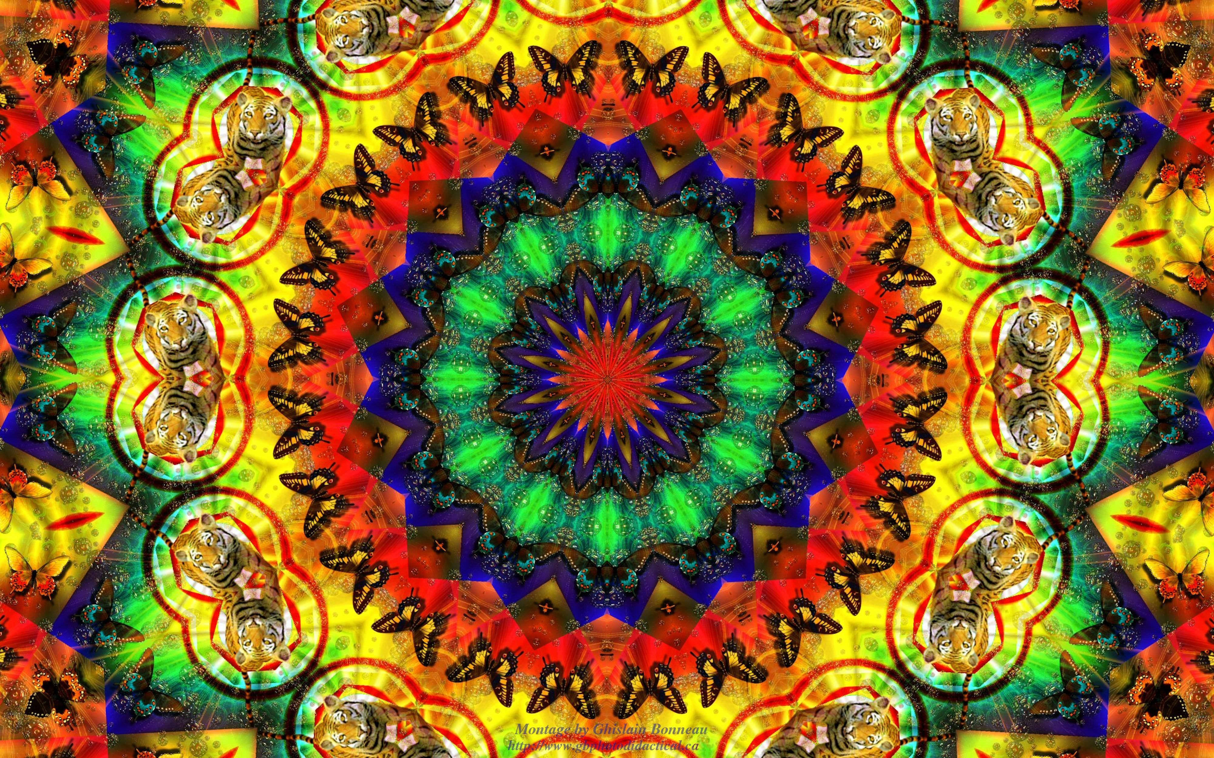 Hippie, kaleidoscope design, tiger, 4K Desktop Wallpaper