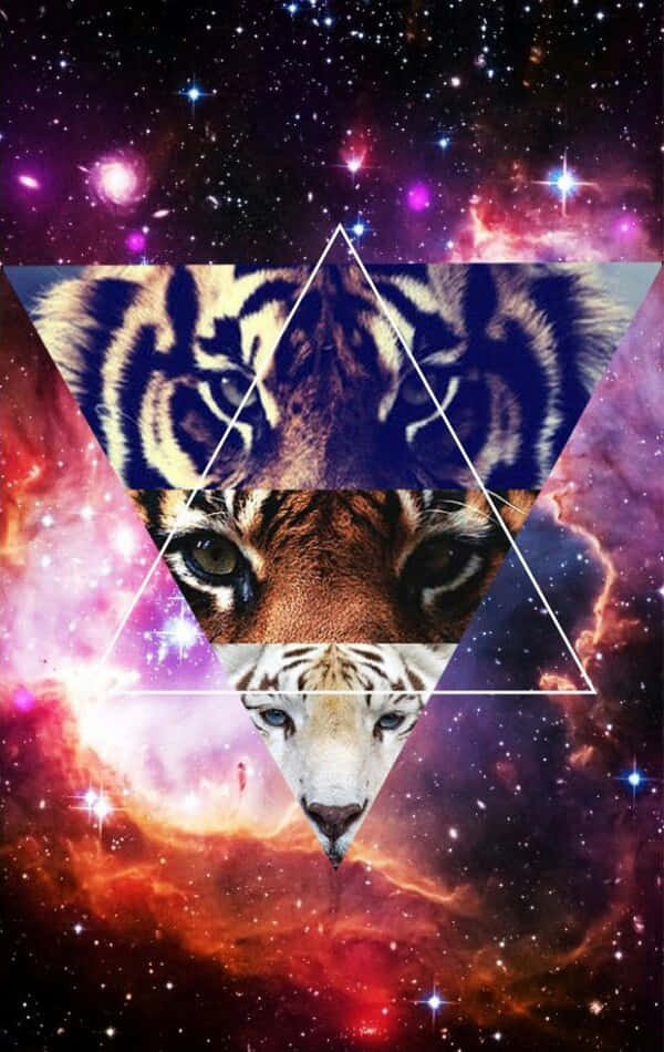 Hipster Galaxy Tumblr, tiger faces, triangular layers, SD Phone Wallpaper