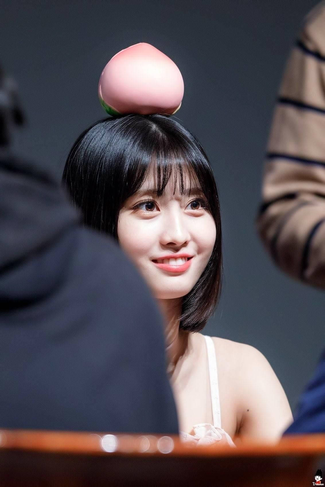 Hirai Momo, stuffed toy, peach, HD Phone Wallpaper