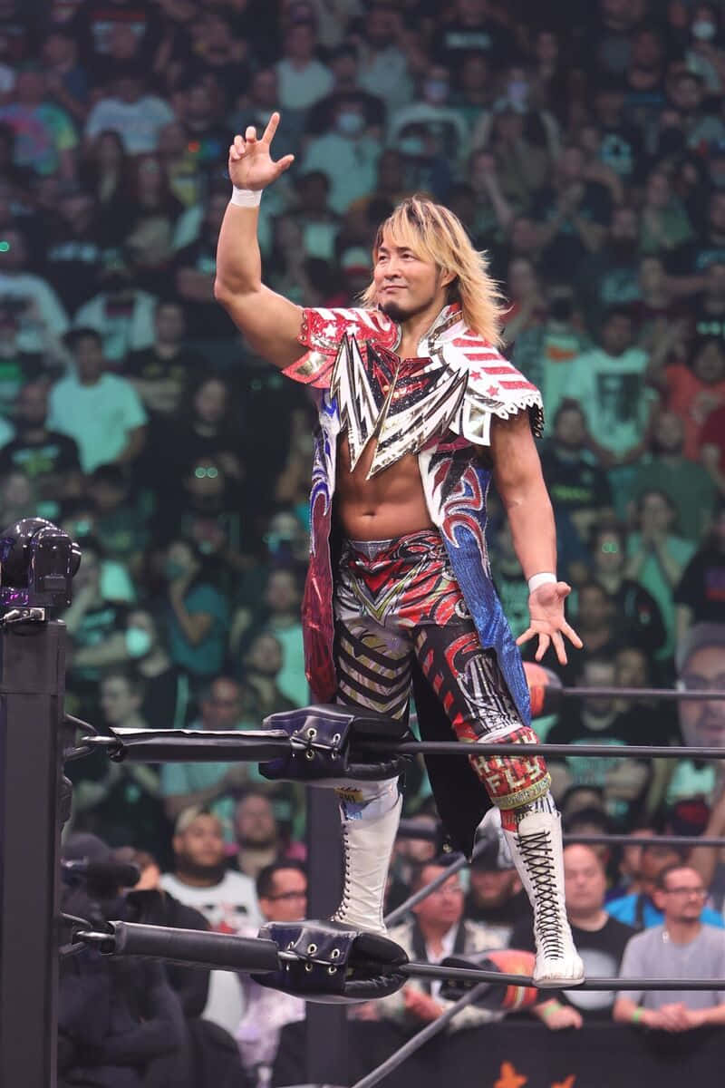 Hiroshi Tanahashi, wrestling ring turnbuckle, cheering crowd, SD Phone Wallpaper